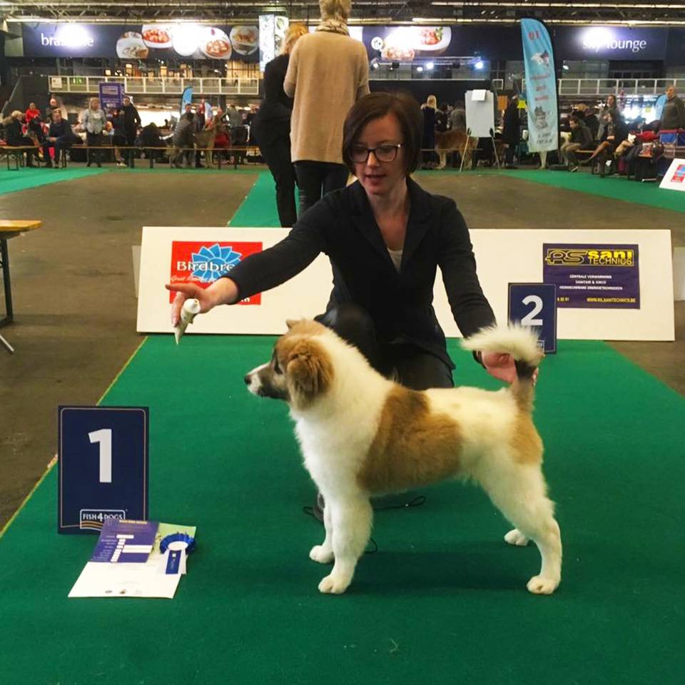 Thai-Bangkaew-Quma-No-Go-Rising-Sun-3