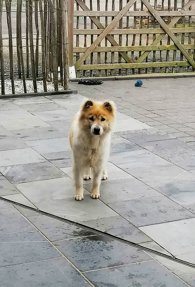 Thai-Bangkaew-Quma-No-Go-Rising-Sun-7