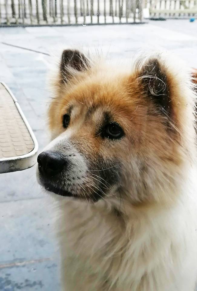 Thai-Bangkaew-Quma-No-Go-Rising-Sun-8