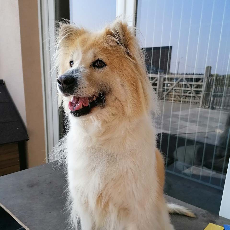 Thai-Bangkaew-Quma-No-Go-Rising-Sun-10