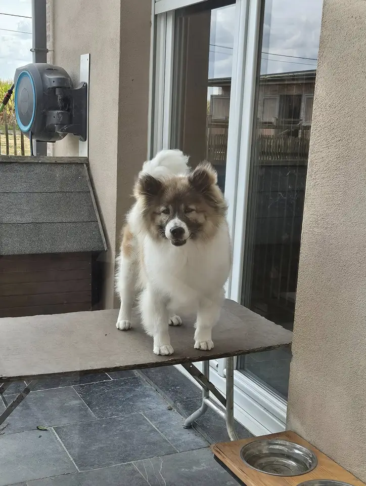 Bankrilada’s Manee Gallery 2025 – 1