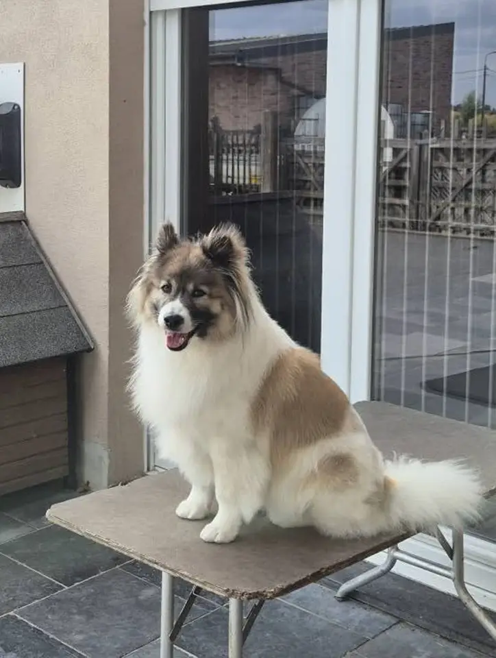 Bankrilada’s Manee Gallery 2025 – 2