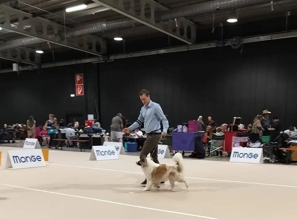 Bankrilada’s Manee Gallery 2025 – 3