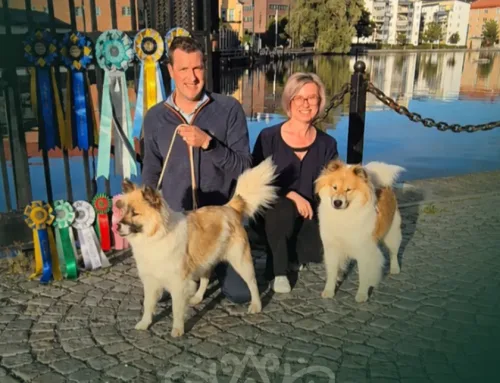 European Winner 2026 – Yolo & Waya Take the Title Back-to-Back